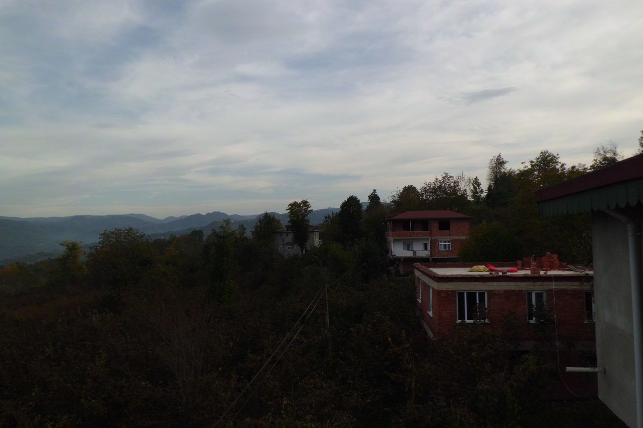 CIMG0486.JPG